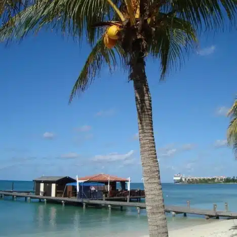 Bonaire Highlights