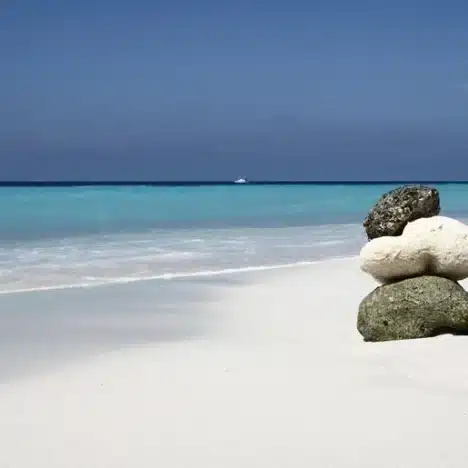 Aruba entdecken