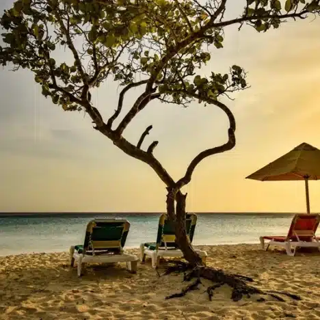 Curaçao entdecken