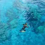 Tauchen & Schnorcheln auf Curaçao