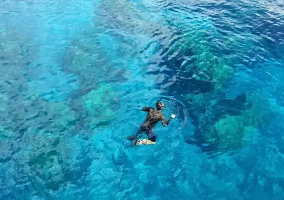 Tauchen & Schnorcheln auf Curaçao